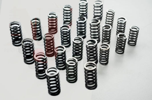 Molas de válvula de desempenho para M57 – BMW 330d 530d 335d 535d