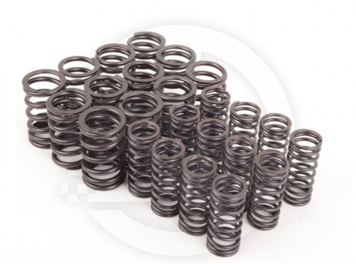 CONJUNTO DE MOLAS DE VÁLVULA DBILAS PARA BMW 30D / 35D ( M57D30 / M57N2 )